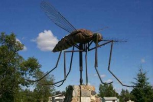 Statue of Giant Mosquito in Komarno Canada